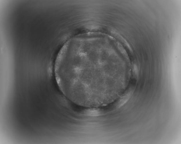 X0000101100668200807241029