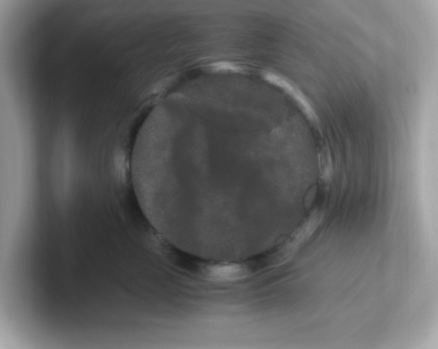 X0000101100669200807241029