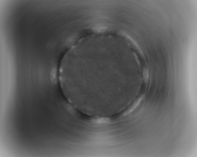 X0000101100670200807241029
