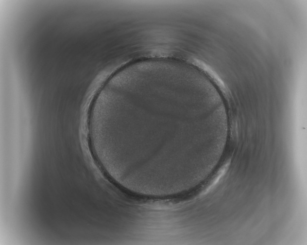 X0000101100673200807241028