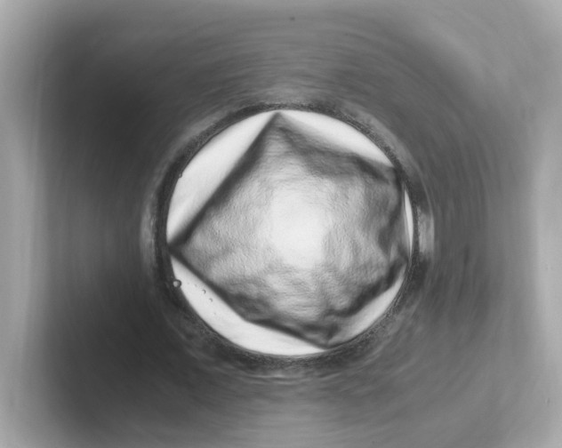 X0000101100675200807241028