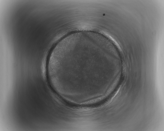 X0000101100677200807241028