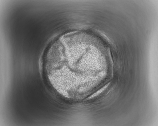 X0000101100679200807241028