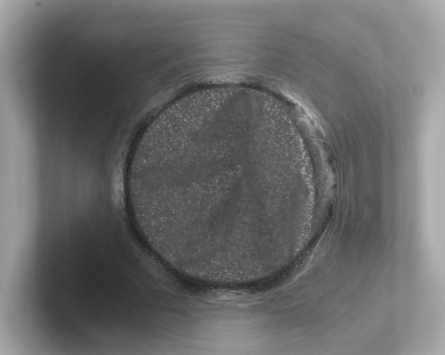 X0000101100681200807241028