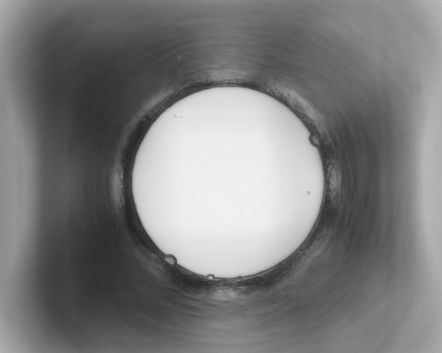 X0000101100684200807241028