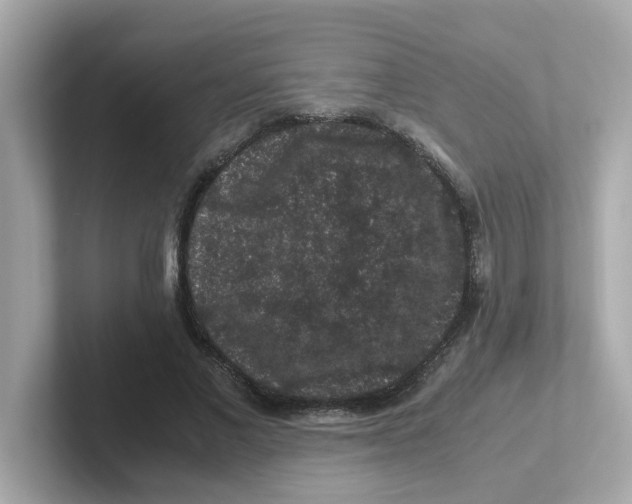 X0000101100685200807241028