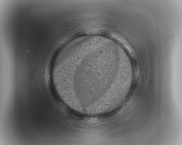 X0000101100687200807241028