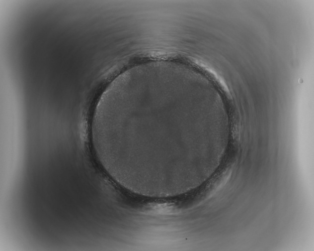 X0000101100689200807241028