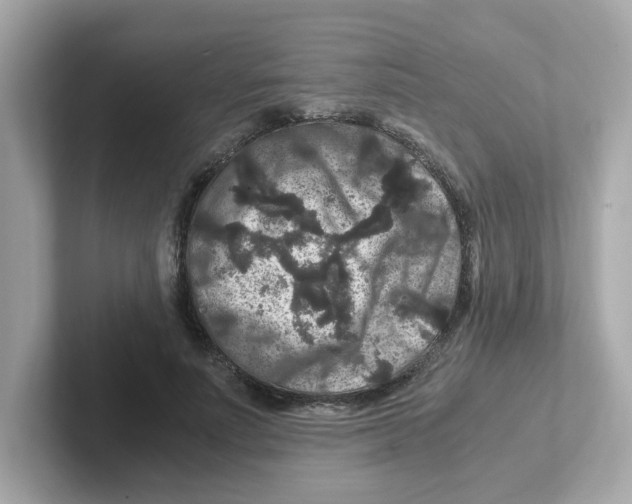 X0000101100691200807241028