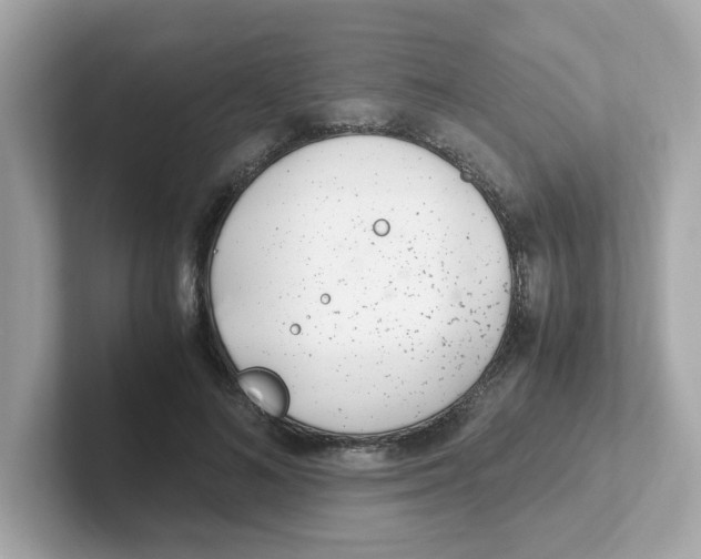 X0000101100692200807241028