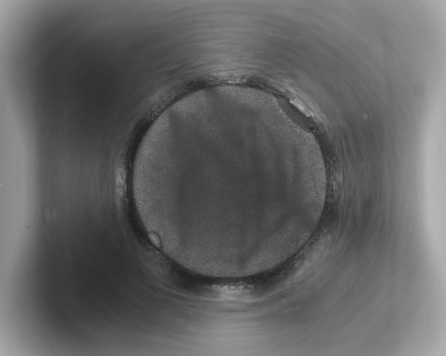 X0000101100693200807241028