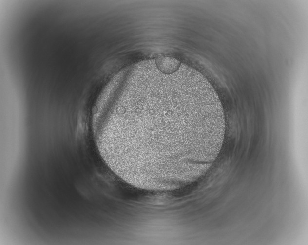 X0000101100695200807241028