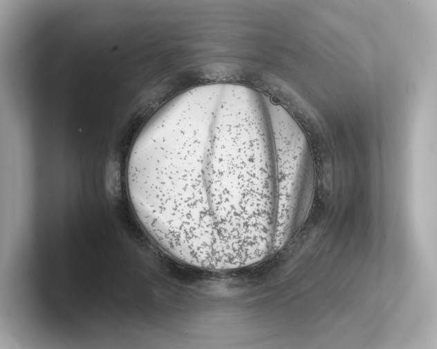 X0000101100696200807241028