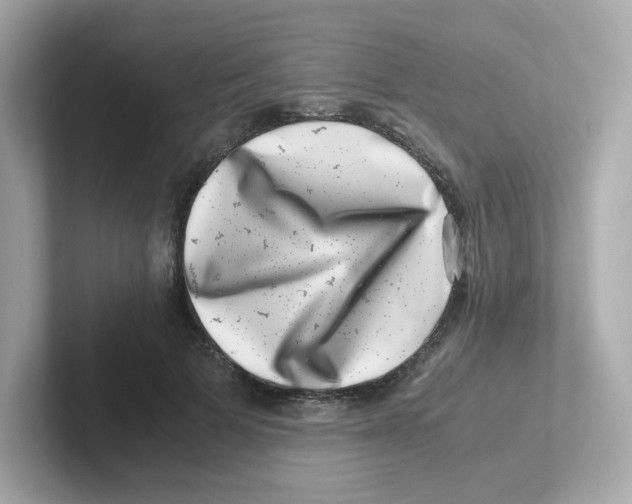 X0000101100697200807241028