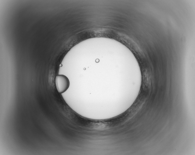X0000101100698200807241028