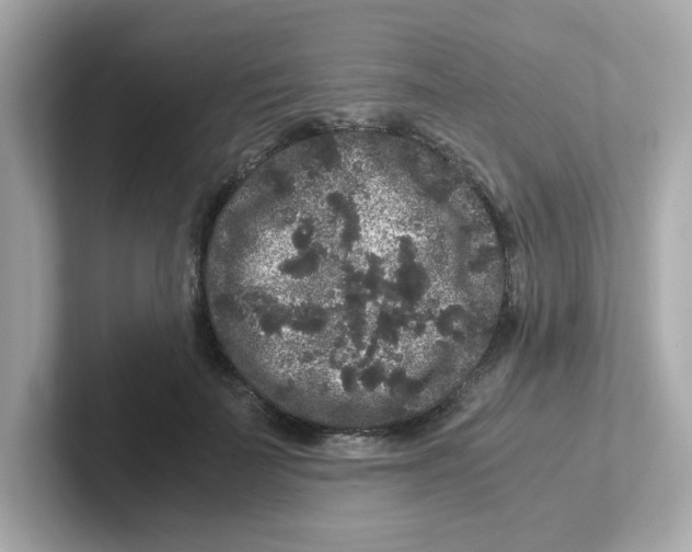 X0000101100699200807241028