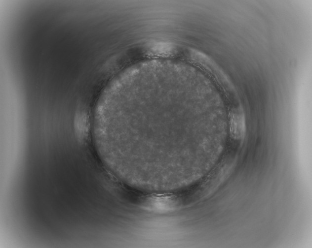 X0000101100701200807241028