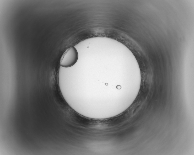 X0000101100702200807241028