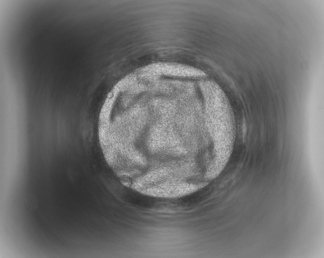 X0000101100703200807241028