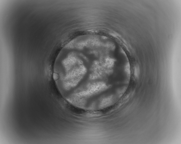 X0000101100707200807241028