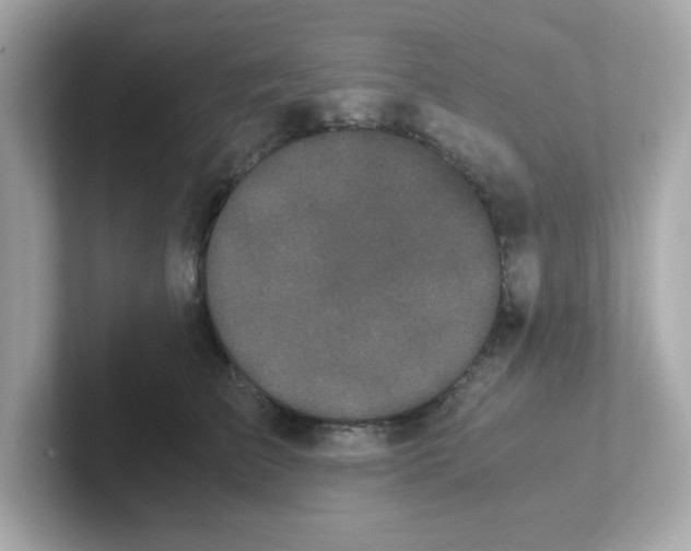 X0000101100709200807241028