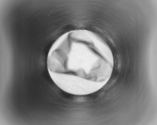 X0000101100710200807241028