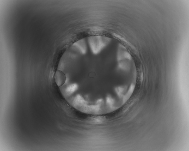 X0000101100711200807241028