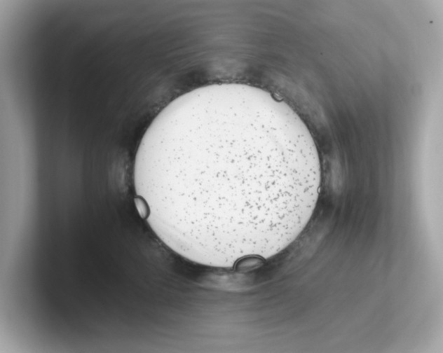 X0000101100712200807241028