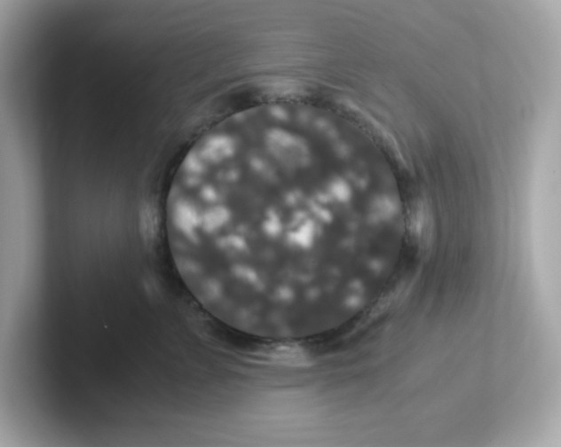X0000101100715200807241028