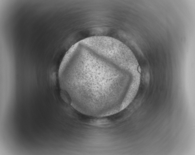 X0000101100716200807241028