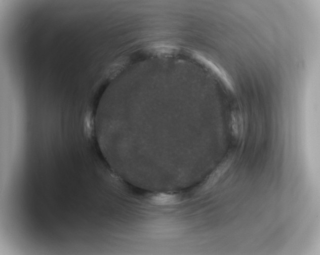 X0000101100718200807241028