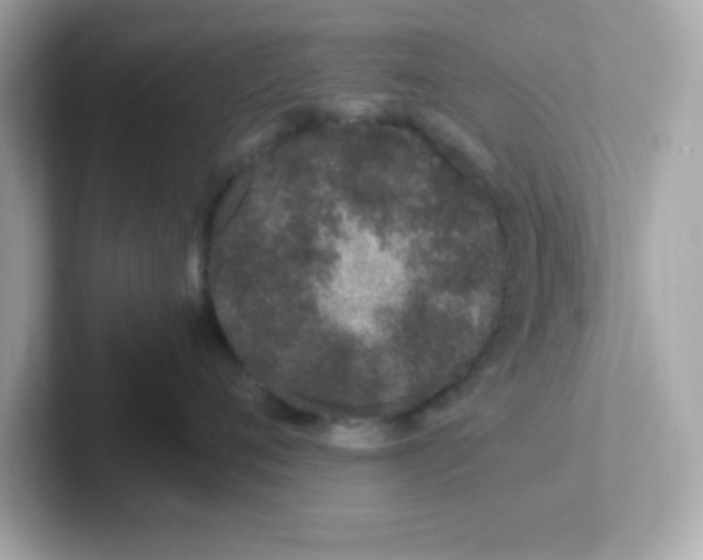 X0000101100720200807241028