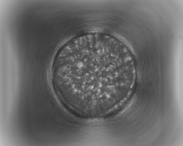 X0000101100721200807241027