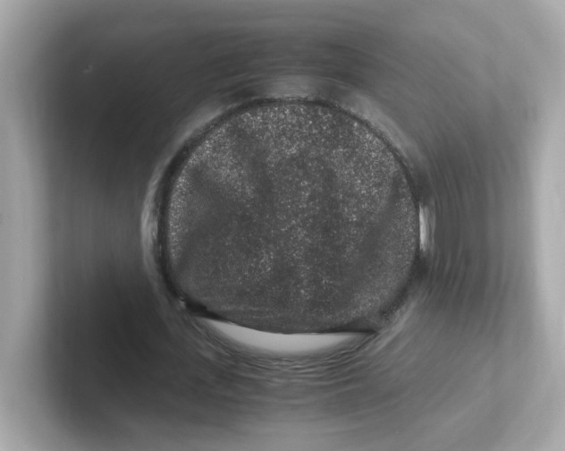 X0000101100723200807241027