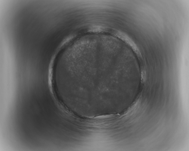 X0000101100724200807241027