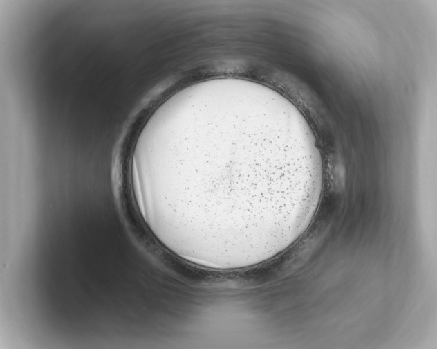X0000101100726200807241027
