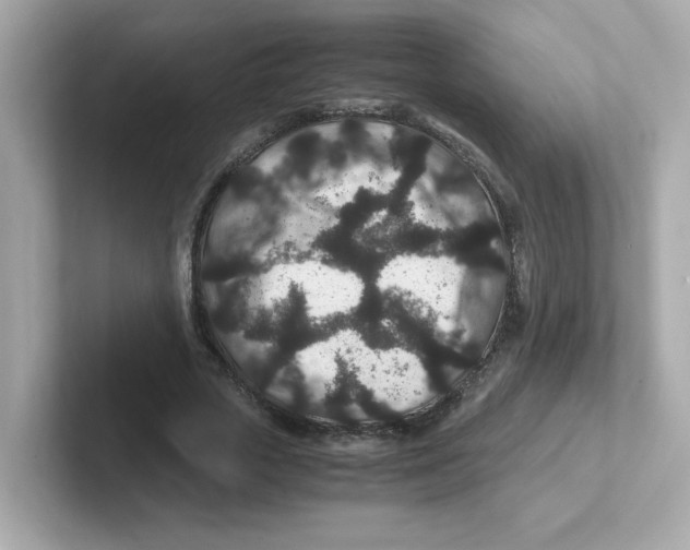 X0000101100729200807241027