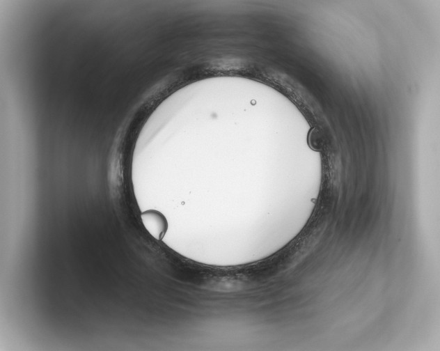 X0000101100731200807241027