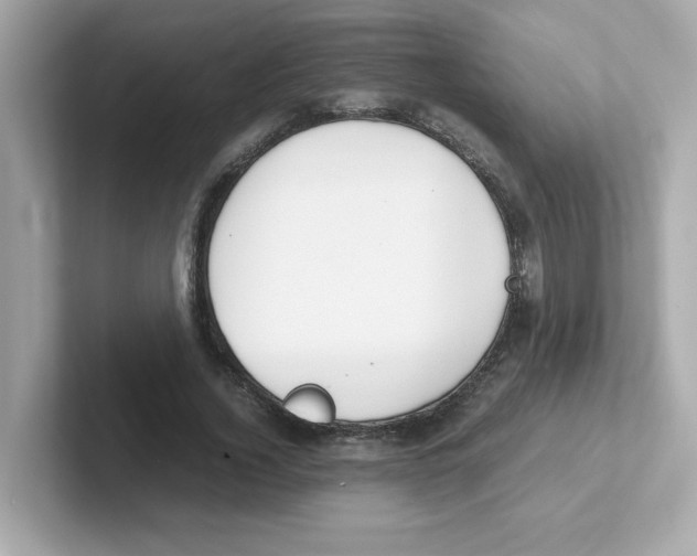 X0000101100732200807241027