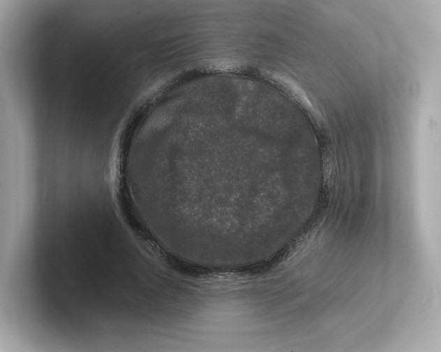 X0000101100736200807241027