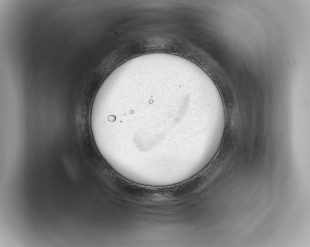 X0000101100737200807241027