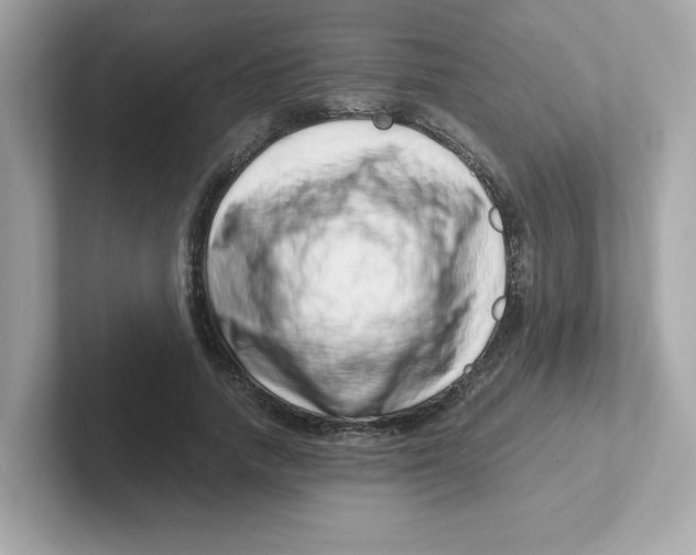 X0000101100738200807241027