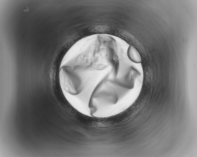 X0000101100739200807241027