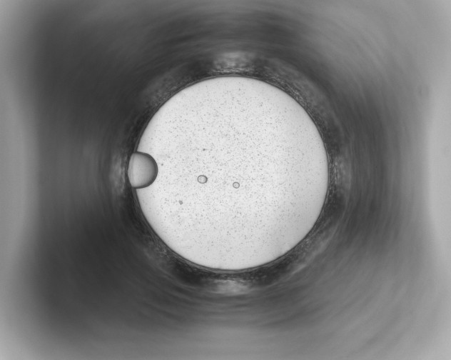 X0000101100741200807241027