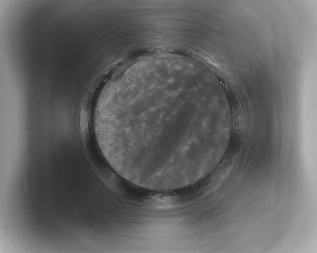 X0000101100742200807241027