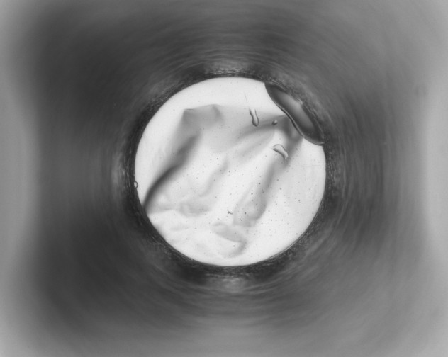 X0000101100743200807241027