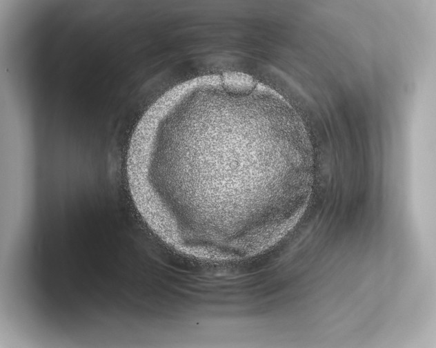 X0000101100745200807241027