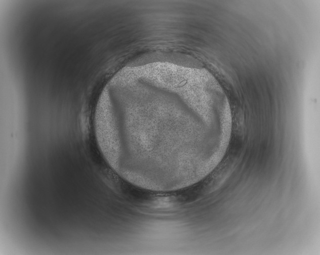 X0000101100746200807241027