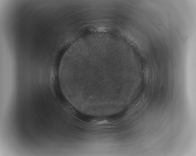 X0000101100747200807241027