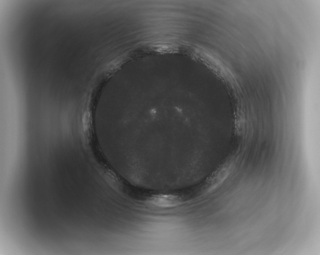 X0000101100748200807241027